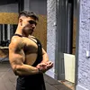 martino_basso
