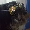 sebas_m0519