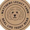Matthews Legacy | Goldendoodle