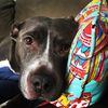 darcy06339