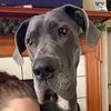 southpaw062808
