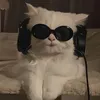 xxmuvxxtooxx