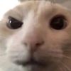 mr._0ak