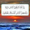 user11556899965368