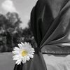 hurayra_megh