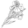 user8x4q8r2qyj