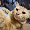 hazeulnut4