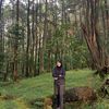 nebulact_
