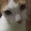 abanador23