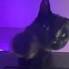 s0upwh0rez