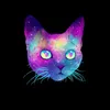 gatogalactico69