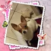 stefy.904