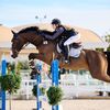 leti.showjumper