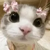 kenzy_bautista0
