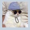 dress_cat