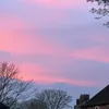 kookyrxoxo2