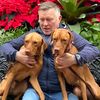 vizslasdad