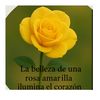 bellaflor0309