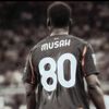 tarek98n