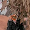 user0k29etwm9a
