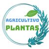 agricultivochiluiza