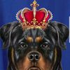 rottweillerking