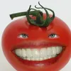 traktarop5288