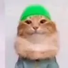 phonkedboy
