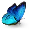 blueglassangel