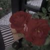 hatice200927