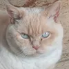 maggy0110