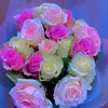 msstacia3