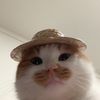 bemineki
