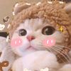 xxalixxuwu