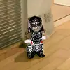 executetheyounglins