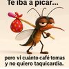colibri970