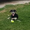 iowafarmguy85