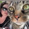 kittykattastic