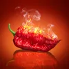 _._spicy_._