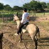 nicohparedes01