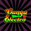 gangaelectro