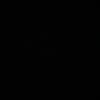 chr1fa