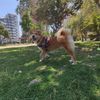 noa.laperrita