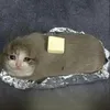 buttercat_original