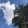 zahraamh50
