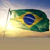 vieiraalpha01
