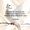35_hakkimsanaharamolsun_