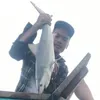 nguyengian986