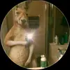 monky_519