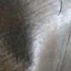 ratinhoalves80